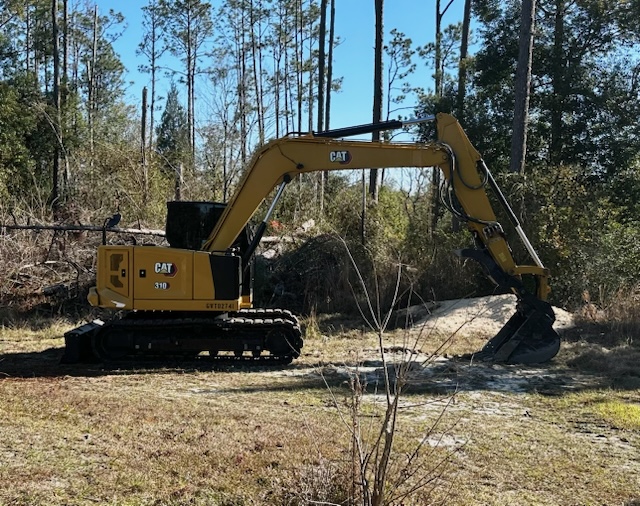 Property & Fence Clearing Gainesville Florida